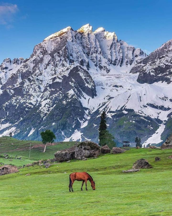 Mir Guest House Pahalgam Exterior photo
