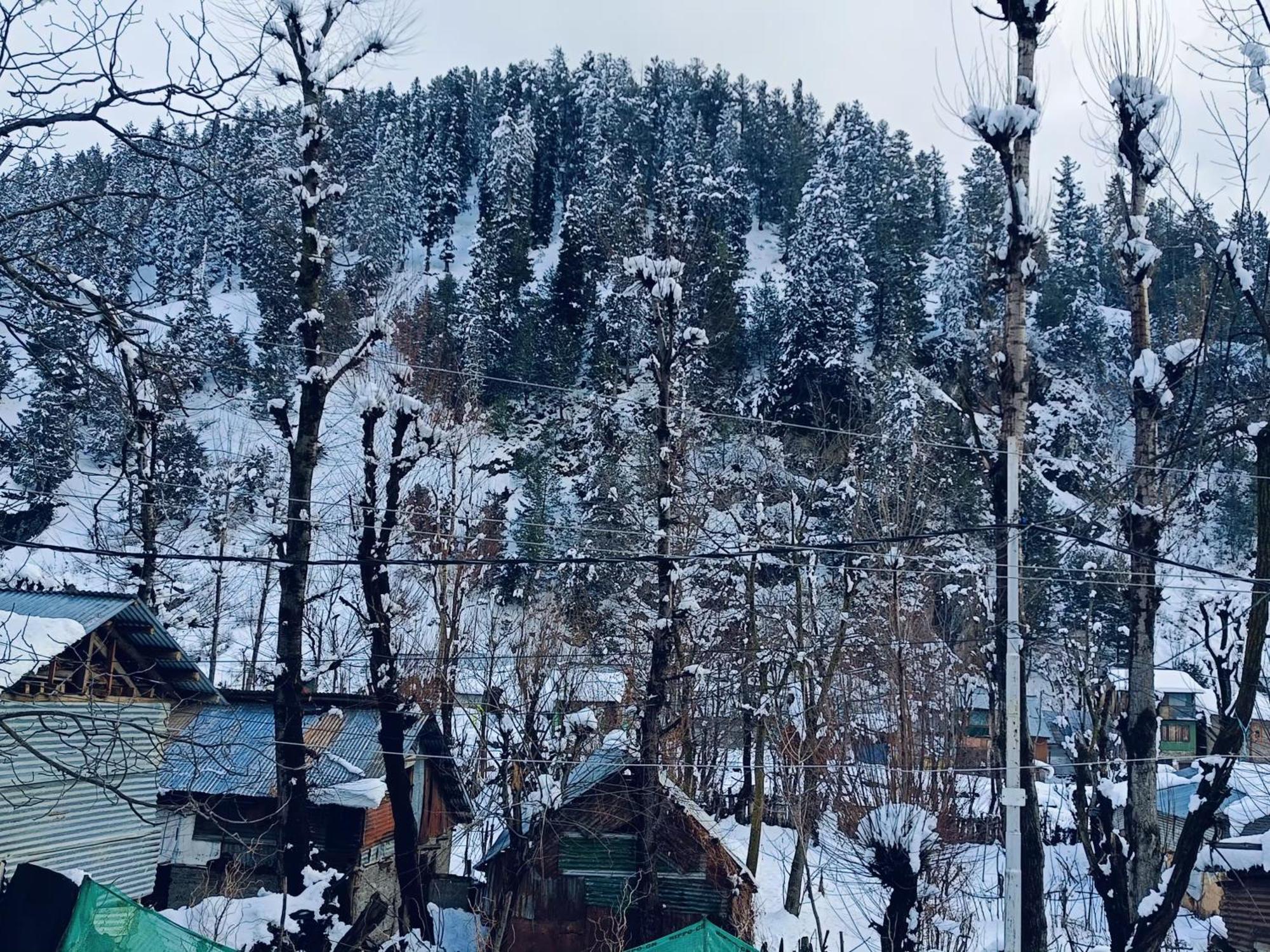 Mir Guest House Pahalgam Exterior photo